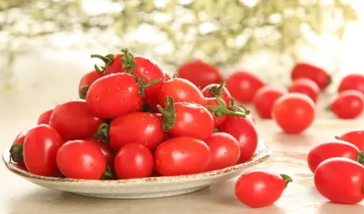 吃小番茄减肥，小番茄减肥效果很棒